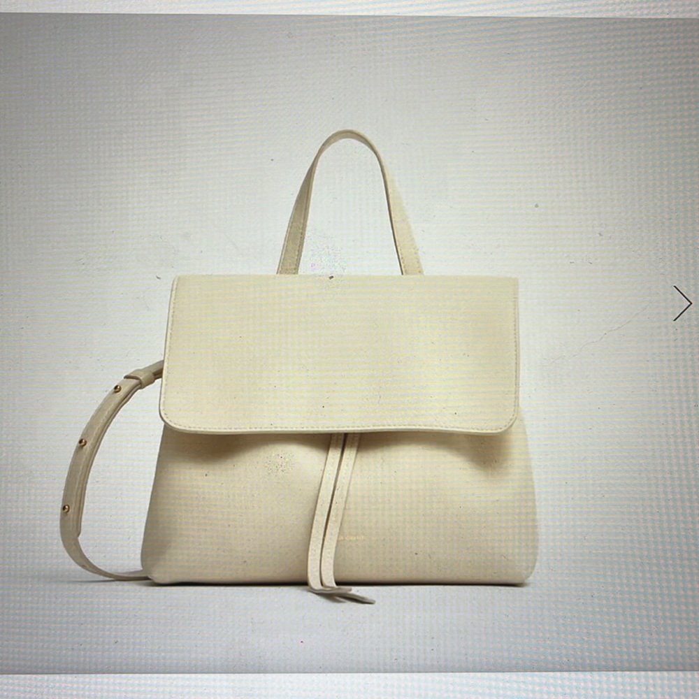 Mansur Gavriel Soft Lady Bag - Used twice